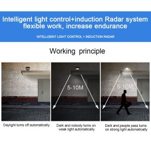 Sensor & Light Control Solar Power Street Light